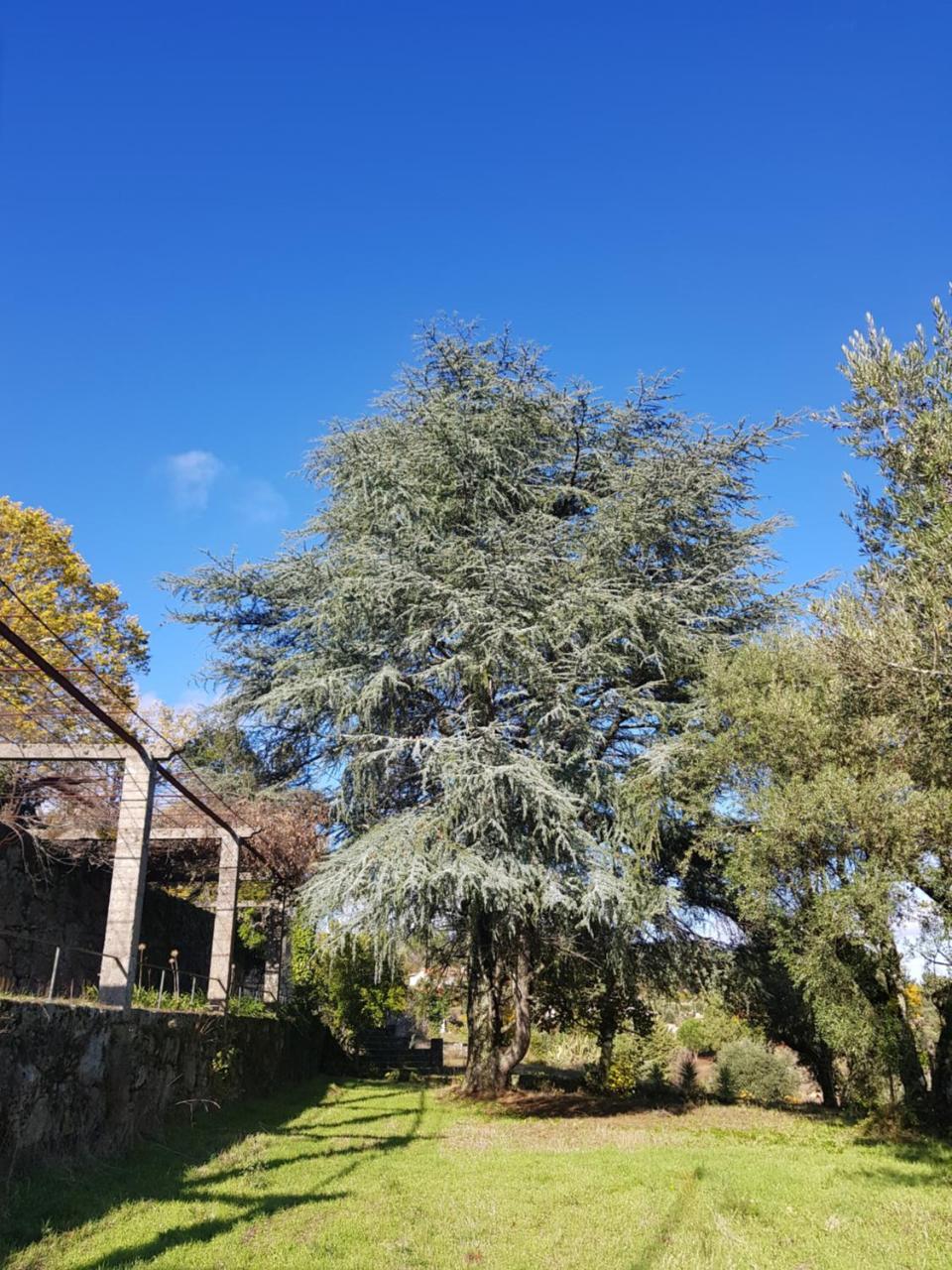 Hotel Rural Mira Serra Mangualde Exterior foto